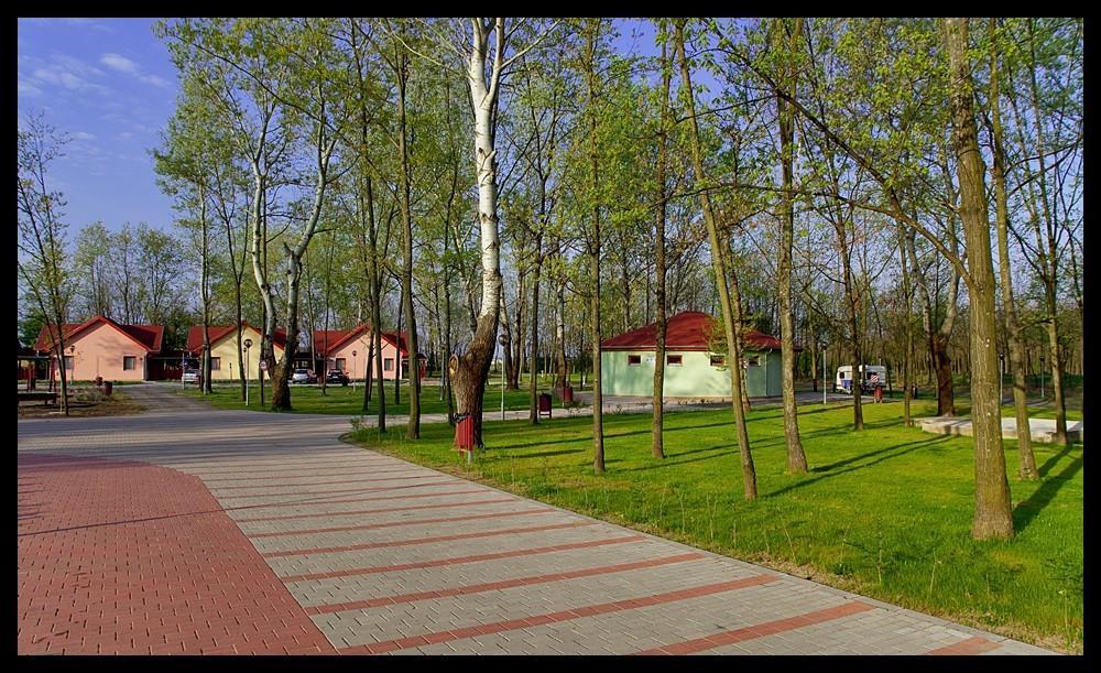Sarkany Apartman, Sarkany Wellness Es Gyogyfuerdo Nyírbátor Dış mekan fotoğraf